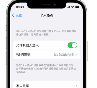 南沙apple服务站点分享iPhone上个人热点丢失了怎么办 