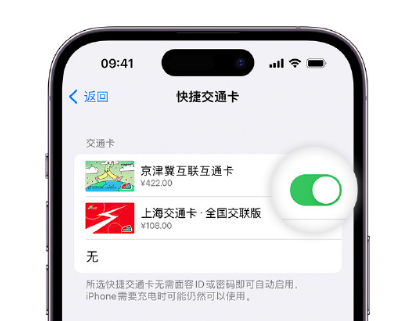 南沙apple维修点分享iPhone上更换Apple Pay快捷交通卡手绘卡面 