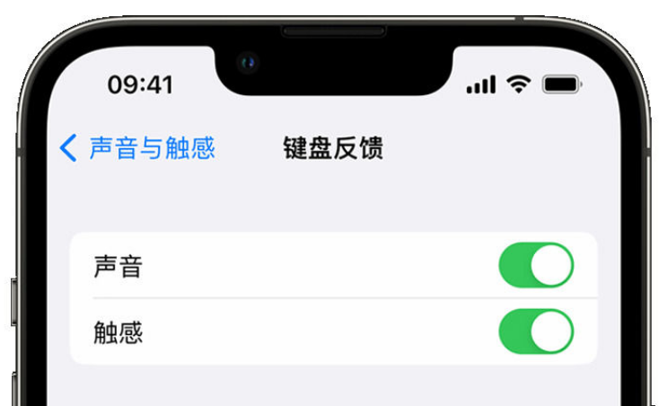 南沙苹果手机维修分享iPhone 14触感键盘使用方法 