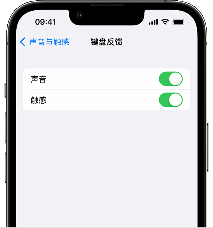 南沙苹果14维修店分享如何在 iPhone 14 机型中使用触感键盘 