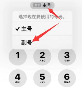 南沙苹果14维修店分享iPhone 14 Pro Max使用副卡打电话的方法 