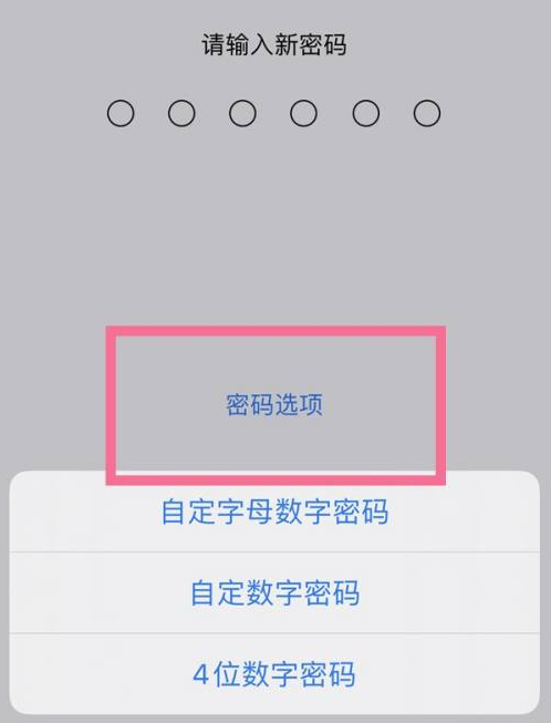 南沙苹果14维修分享iPhone 14plus设置密码的方法 