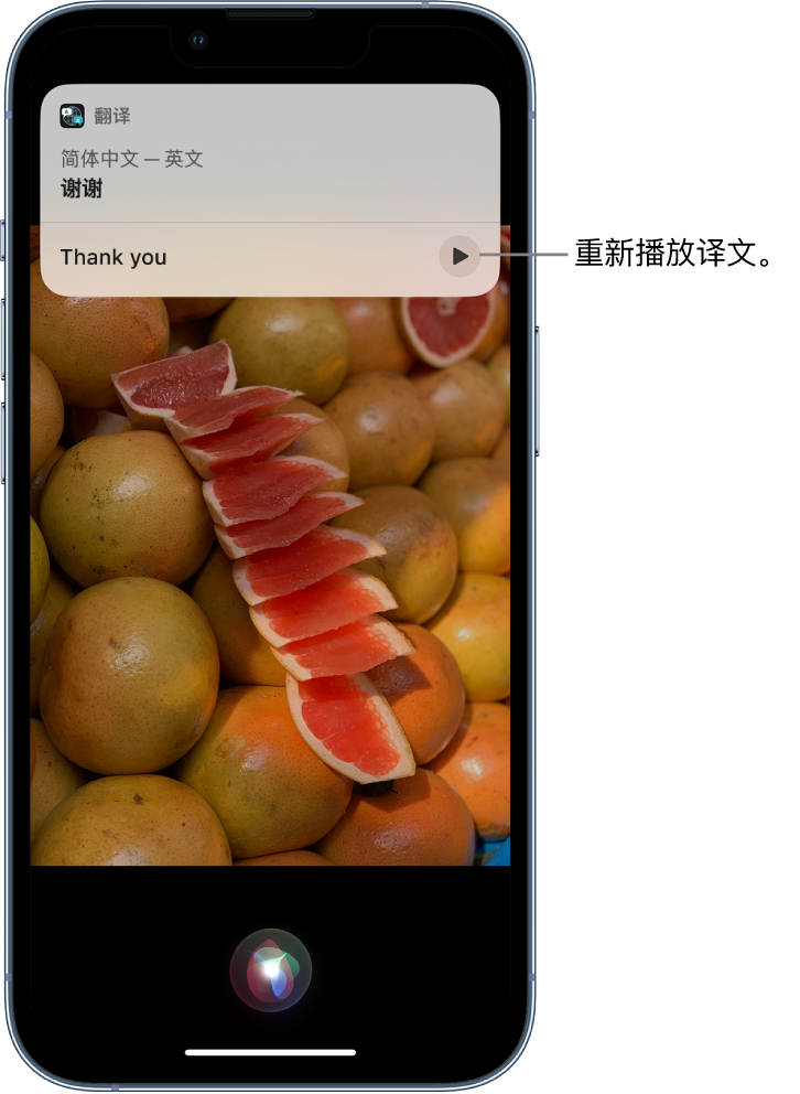 南沙苹果14维修分享 iPhone 14 机型中使用 Siri：了解 Siri 能帮你做什么 